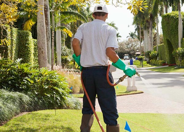 About Silverhill AL Pest Control